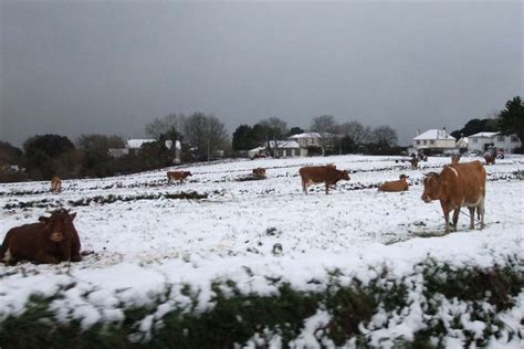 All About The Famous Places: Guernsey Weather Top Images