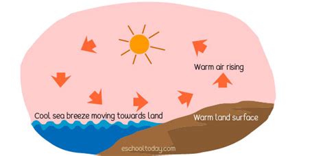 Land and sea breeze – Eschooltoday