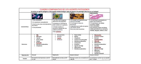 Agentes Y Patógenos Cuadro Comparativo