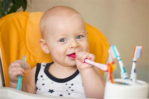 Top 9 Best Baby Toothbrush: Keep Your Child's Teeth Clean and Healthy! - MOM News Daily