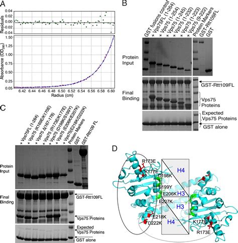 Structure Of Vps And Implications For Histone Chaperone Function Pnas