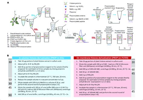 Plant Histone Sample Preparation Workflow For LC MS MS A An