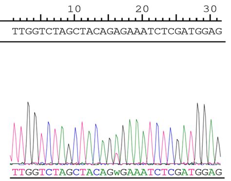 GENEWIZ from Azenta | SNP Genotyping