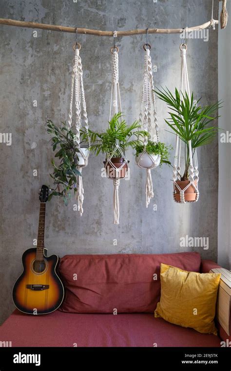 Handmade Macrame Plants Hanger Hanging From Wood Branch Acoustic