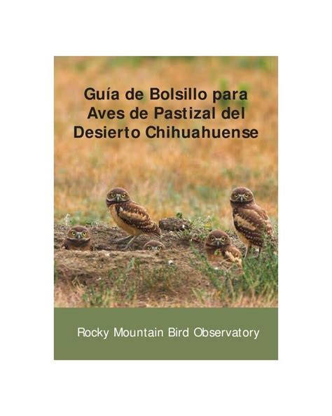 PDF Guía de Bolsillo para Aves de Pastizal del Desierto manejo