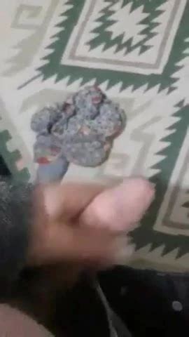 Turkish Gay Tarik Amateur Amateur Porn XHamster