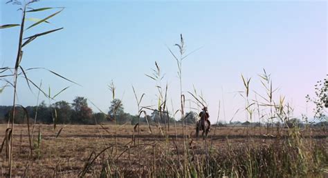 The Sex Adventures Of The Three Musketeers 1971