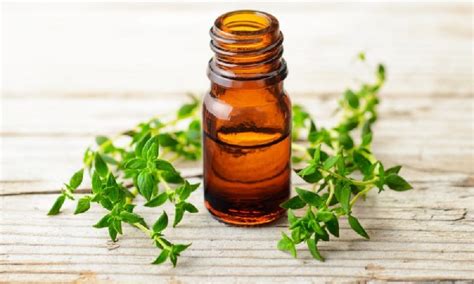 Thyme Oil For Medicines Certification Iso 90012008 Certified At