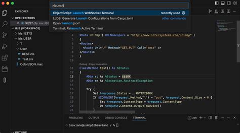 C Mo Ejecutar Comandos De Objectscript En El Terminal Integrado De Vs Code