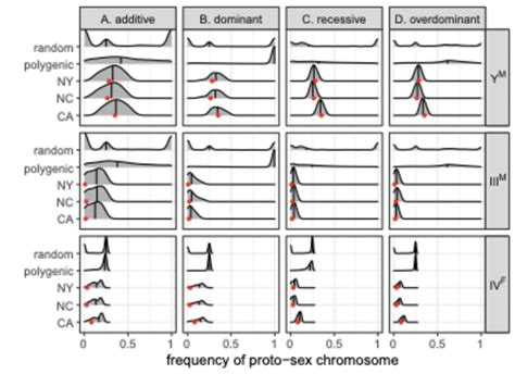 Smoothed Histograms Show The Frequency Of Each Proto Sex Chromosome Y Download Scientific