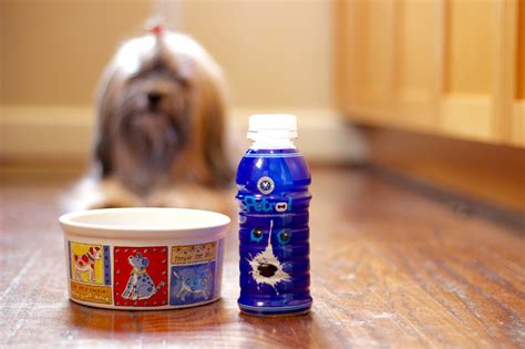dog  love petrol fuel  dogs  tasty hydrating treat
