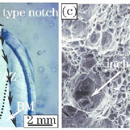 Macro And Micro Morphology Of Fracture Surface And TEM Of WS A Macro