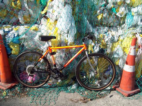 Free photo: World Rider - Mountain Yak - Activity, Moat, World-rider ...
