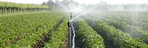 Sprinkler Irrigation Systems