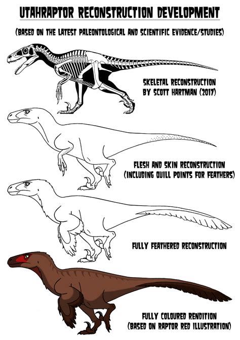 Utahraptor Reconstruction Development by codylake on DeviantArt | Dinosaur art, Prehistoric ...