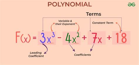 Polynomials Definition Properties And Examples