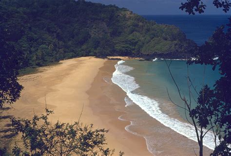 Funda O Projeto Tamar Fernando De Noronha Pe