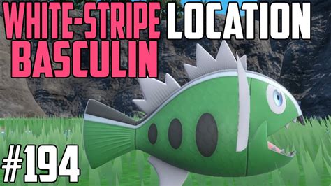 How to Catch White Stripe Basculin Pokémon Scarlet Violet DLC