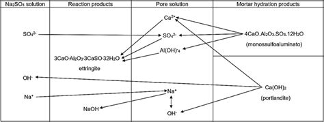 Schematic of reactions between the sodium sulfate solution and the ...