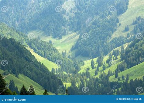 Valle alpina bernese immagine stock. Immagine di pino - 208818375