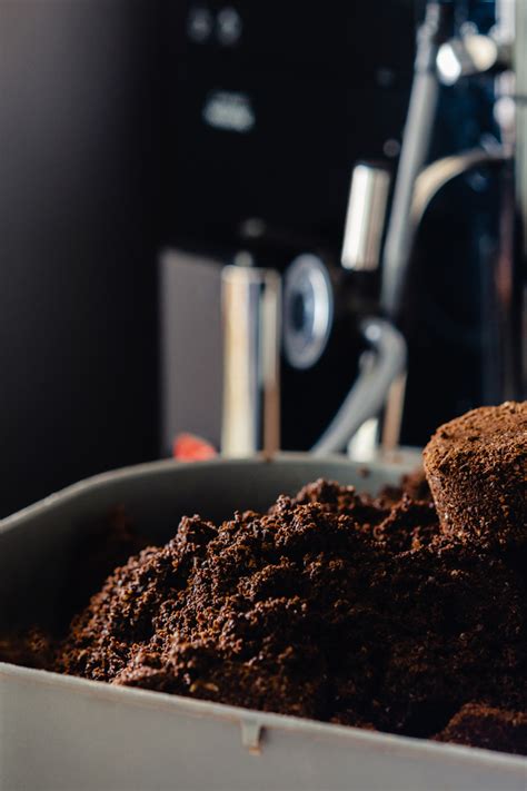 How To Use Coffee Grounds On Houseplants Energize Your Plants