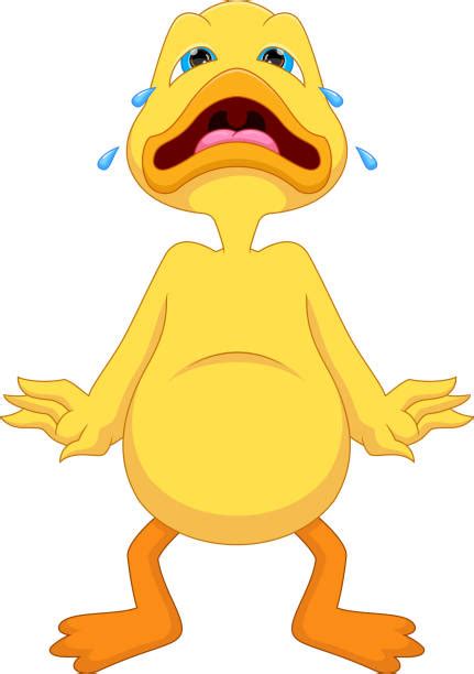 Sad Duck Stock Photos Pictures And Royalty Free Images Istock