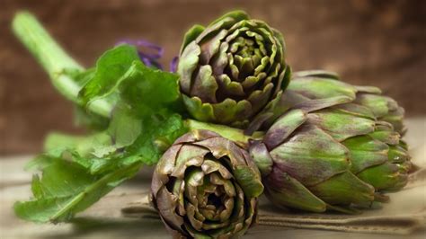 Artichoke Extract Cynara Cardunculus