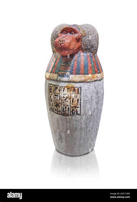 Ancient Egyptian Canopic Jar Depicting The Baboon Hapi 1064 644 BC 3rd