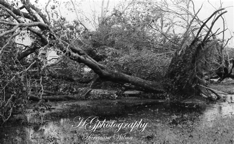 Hurricane Wilma Aftermath_05 by photoJunknStuff on DeviantArt