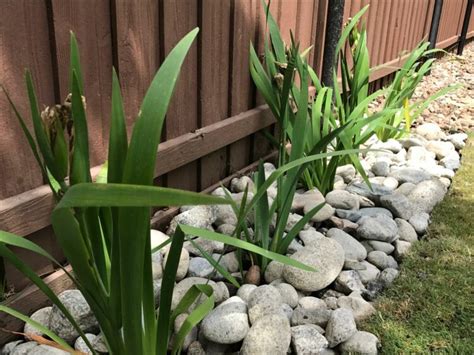 Flower Beds With Rocks Instead Of Mulch Ryno Lawn Care LLC