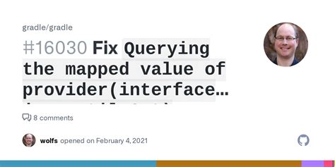 Fix Querying The Mapped Value Of Provider Interface Java Util Set