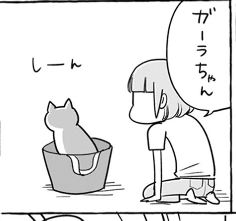 【漫画】愛猫の名前の由来に驚き センスあるのかと思ったら、まさかのオチに爆笑「全てが間違ってる」｜まいどなニュース