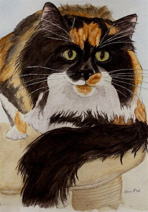 Calico Cat Painting By Joan Pye Fine Art America