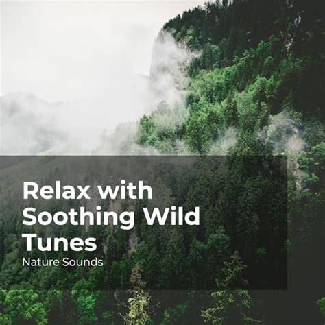 Play Relax with Soothing Wild Tunes by Nature Sounds, Sleep Sounds of ...