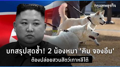 The most livid conclusion! 2 "Kim Jong Un" dogs are to be released in a South Korean zoo ...