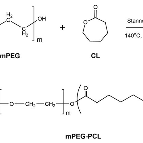 Synthesis Of Poly Ethylene Glycol Methyl Poly Caprolactone Mpeg Pcl