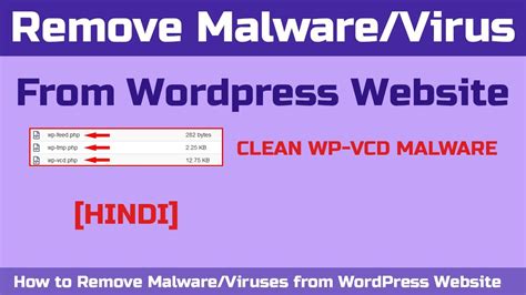 How To Remove Malware Virus From Wordpress Website Using Cpanel Hindi