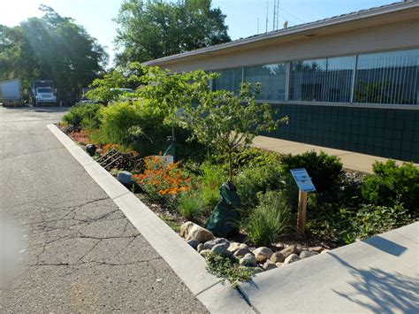 Rain Garden Plaza Along