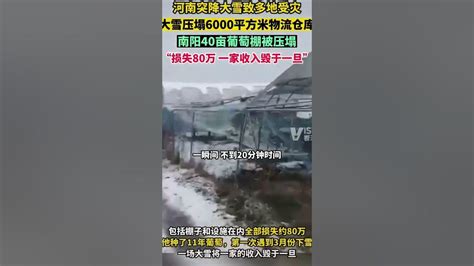 河南 大暴雪压塌6000平方米物流仓库！有的农户一家就损失80多万元。 Youtube