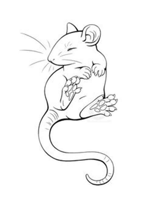 Evil Rat Drawing at GetDrawings | Free download