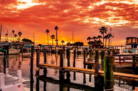 Dunedin Florida Beaches: Your Friendly Guide to the Best Spots » Busy ...