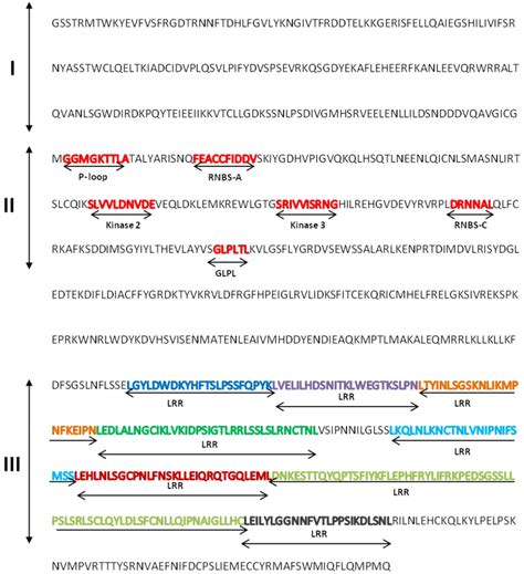 Complete Deduced Amino Acid Sequence Of Lorga6 With Annotations The