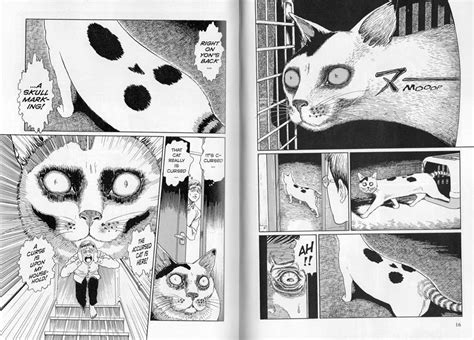 Junji Ito S Cat Diary Yon Mu Manga Review Amanja Reads Too