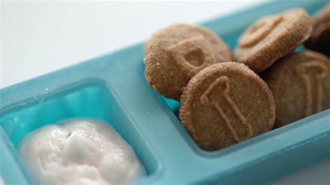 Homemade Dunkaroos Recipe by Maklano