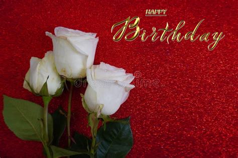 Happy Birthday Card with Flowers White Roses Stock Photo - Image of copy, color: 300058678