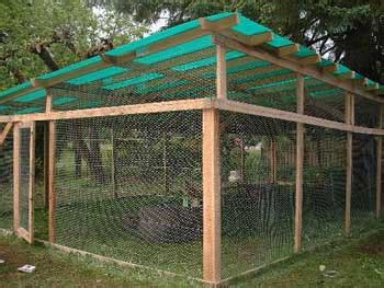 Outdoor Cat Enclosure Catios For Safe Feline Play - Cat enclosure