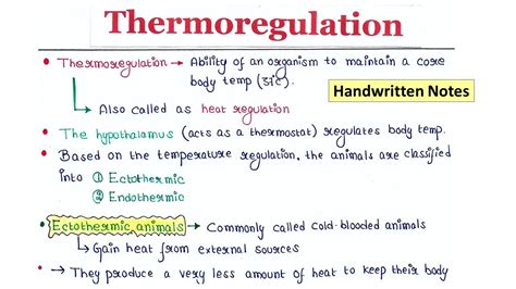 Thermoregulation | Mechanism | Importance | Handwritten notes - YouTube