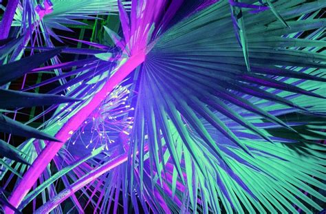 Lighting Up The Price Tag: 5 Factors That Influence Electrician Installation Fees