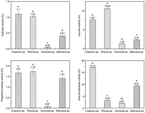 Extracellular Enzyme Activities Of Dominant Endophytic Fungi Of