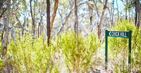 Chick Hill Circuit Walk Km Warby Ovens National Park Vic